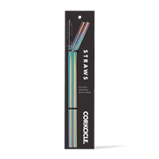 Tumbler Straw 2-Pack - Fresh Choice T6